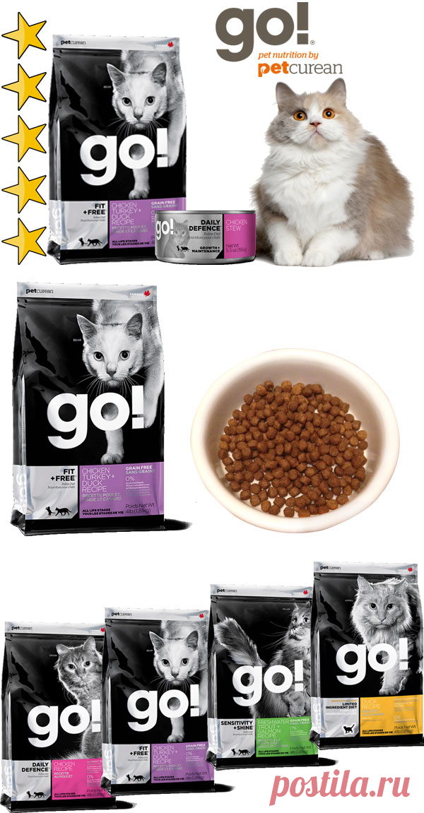 Корм для кошек Go (Гоу): обзор, виды, состав, отзывы