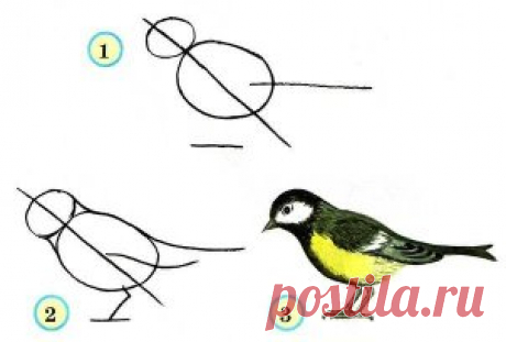 Учимся рисовать птичек