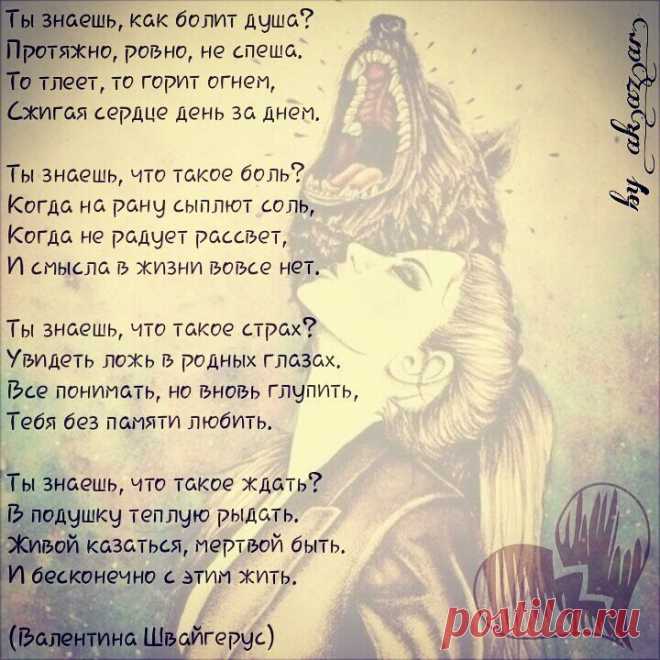 Мой Мир@Mail.Ru