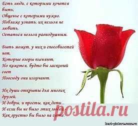Стихи.