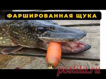 Фаршированная ЩУКА рецепт пальчики оближешь