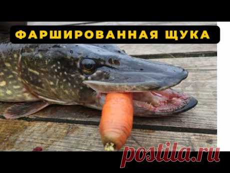 Фаршированная ЩУКА рецепт пальчики оближешь