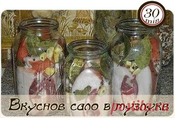 Мои закладки