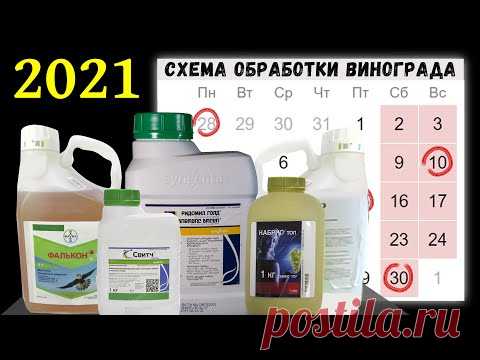 Схема обработки винограда!
