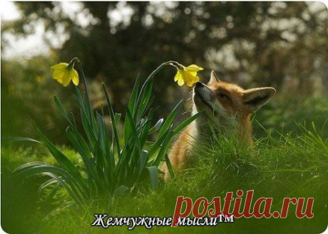 Счастье в простых вещах.Главное-научиться их замечать!