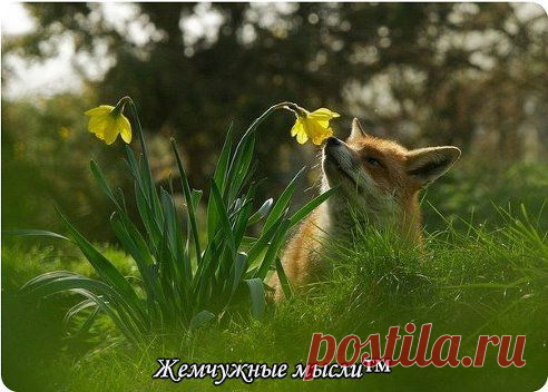 Счастье в простых вещах.Главное-научиться их замечать!