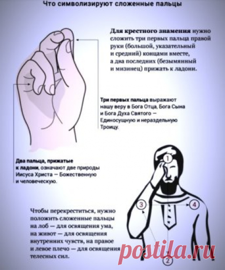 УЧЕНЫЕ ДОКАЗАЛИ СИЛУ КРЕСТНОГО ЗНАМЕНИЯ
Ученые подтверждают, что идущий с древности обычай крестить пищу и питье перед трапезой имеет глубокий мистический смысл
Мы подтвердили, что идущий с древности обычай крестить пищу и питье перед трапезой имеет глубокий мистический смысл, — рассказывает физик Ангелина Малаховская, — За ним скрыта практическая польза: еда очищается буквально за мгновение. Это великое чудо, которое происходит буквально каждый день. Свои исследования силы крестного знамения Ан