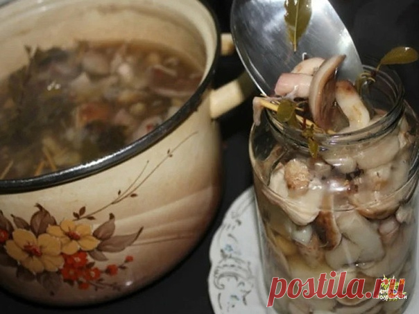 МАРИНАД ДЛЯ ГРИБОВ (Опят, маслят, белых и т. д. )

Такие грибочки даже дети будут кушать ложками! Маринад супер удачный!

Ингредиенты:
Показать полностью…