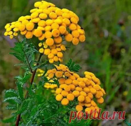 Фотографии на стене сообщества | ВКонтакте