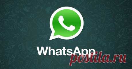 Новые функции WhatsApp: администраторский доступ и «встряхивание»