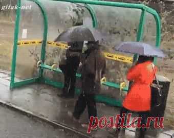 (2) Одноклассники