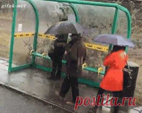 (2) Одноклассники