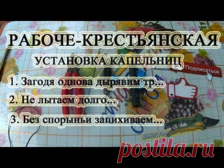 🍇 Как установить капельницы на ПНД трубу. Капельный полив винограда.