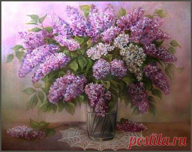 Копилка Впечатлений.
Галина Сенник