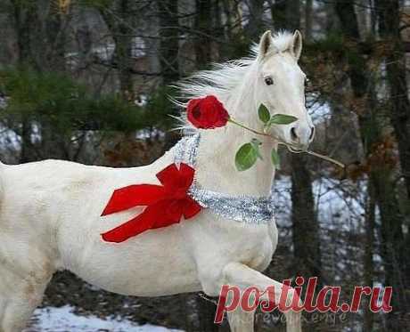 Спешу на свидание!