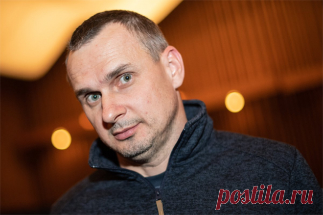 «Не вижу проблем». Режиссер-террорист Сенцов предложил сдать Авдеевку. Летом 2023-го «режиссер» слал ролики с Запорожского направления, рассказывая о том, что «контрнаступ» идет успешно, а также несколько раз говорил о полученных контузиях и ранениях.