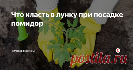Что класть в лунку при посадке помидор Томаты, выращенные своими руками на своем участке имеют совсем другой вкус. Они ароматные и вкусные. Но ,чтобы вырастить такие томаты, необходимо их правильно садить и ухаживать за ними. Какие удобрения необходимо класть в лунку при посадке томатов, как в открытый грунт, так и в теплицу. Рассмотрим какими удобрениями подкармливаем грунт.