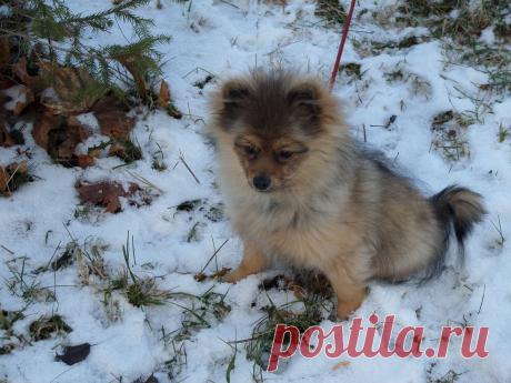 Мне 6 месяцев