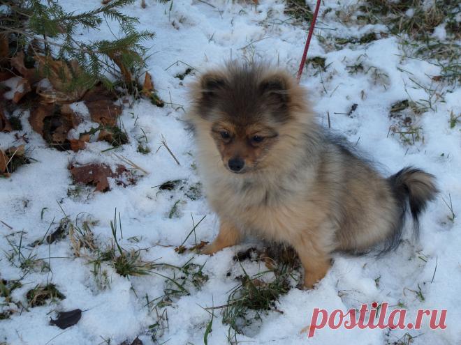 Мне 6 месяцев