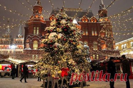 Благодарю тебя, прошедший год,
За то, что все любимые – со мною,
За то, что уберег от всех невзгод,
Замолвив пару слов перед судьбою;
Благодарю за преданных друзей,
Которые меня всем сердцем любят,
С кем я могу немного быть слабей,
Уверенная в том, что не осудят.
Благодарю за радость теплых встреч,
За горечь /все же нужных/ расставаний,
За то, что смог меня предостеречь
От горьких слез и разочарований.
Благодарю тебя, прошедший год,
За благосостояние, согласье,
За мир в стране и синий небосвод,