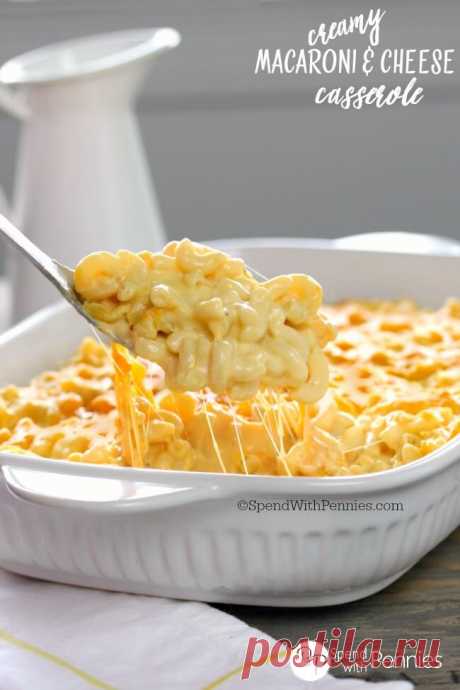 Creamy Macaroni and Cheese Casserole - Spend With Pennies
