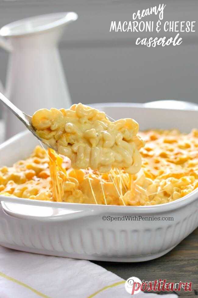 Creamy Macaroni and Cheese Casserole - Spend With Pennies