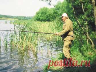 Линь в заросших водоёмах  
 


Фото автора
 

 
Наступили жаркие дни. Прогревшиеся мелководные заливы, старицы, озера сильно зарастают. Здесь теперь для рыбы изобилие корма как растительного, так и животного происхождения. Кл…