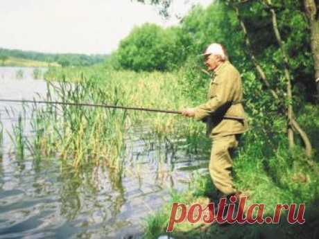 Линь в заросших водоёмах  
 


Фото автора
 

 
Наступили жаркие дни. Прогревшиеся мелководные заливы, старицы, озера сильно зарастают. Здесь теперь для рыбы изобилие корма как растительного, так и животного происхождения. Кл…