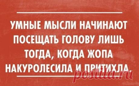 Немного сарказма
