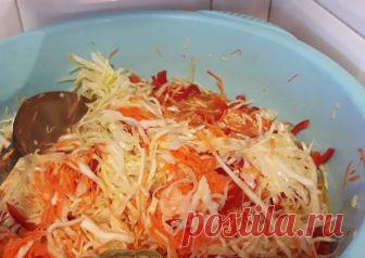 Суточная капуста Автор рецепта Элина Надточаева - Cookpad