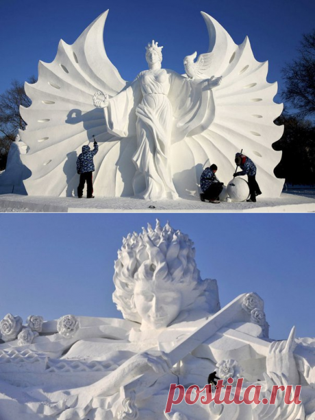 Новости