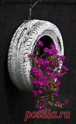 Old Tire Planter | every day things