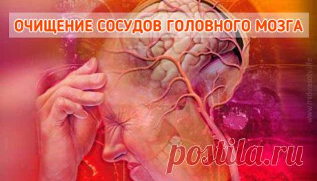 Очищение сосудов головного мозга: 5 лучших народных средств