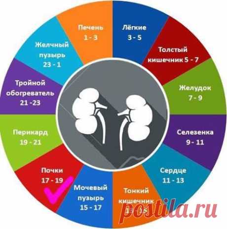 Стакан воды в часы «Ю-ши» для здоровья почек 
Напоить почки: 17.00-19.00 - часы "Ю-ши" 
В это время активен меридиан почек. Следует увеличить количество питья, чтобы ускорить выведение из организма вредных и ненужных веществ.
Вода помогает очист…