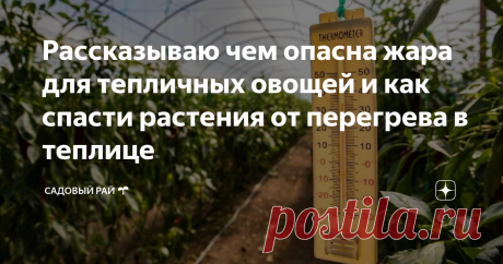 Рассказываю чем опасна жара для тепличных овощей и как спасти растения от перегрева в теплице  🌿
В этом видео я расскажу о том, какие опасности поджидают тепличные овощи в жару.
Что делать чтобы спасти растения в теплице от перегрева?
Как снизить температуру в теплице?
Какие мероприятия проводить чтобы овощи не перегревались?
#теплица #овощи #перегрев #температура #теплицы #садоводство
00:01 - Чем опасна жара в теплице для овощей?
00:25 - Какие мероприятия нужно проводить в теплице, чтобы сниз…