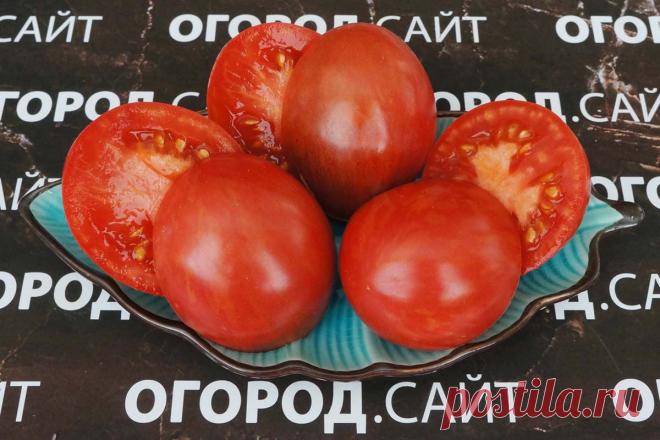 Томат Твоя улыбка (Софии Сааковой), семена | ОГОРОД.сайт