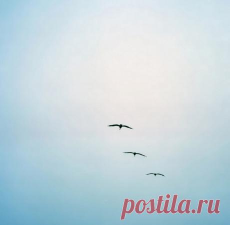 50 вещей, от которых вы должны избавиться до следующего дня рождения