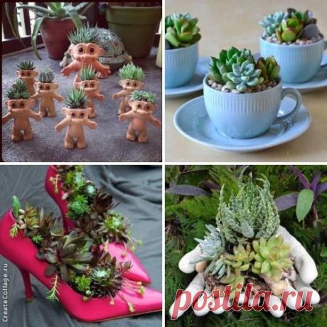 Красивейшие композиции для дома и сада с суккулентами | Наши дома