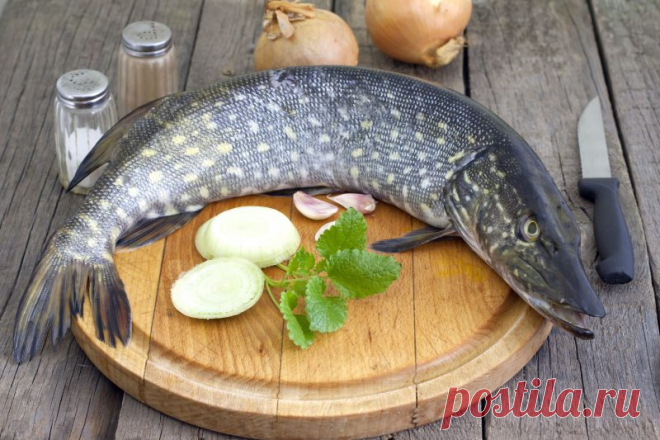 Самые вкусные рецепты приготовления щуки от Шефмаркет Существует много рецептов приготовления щуки, но  самыми  вкусными являются те, которые были приготовлены на берегу речки.
