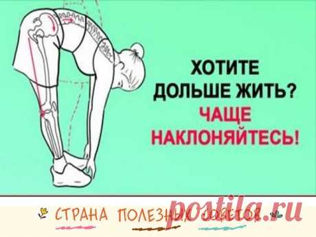 (65) Одноклассники