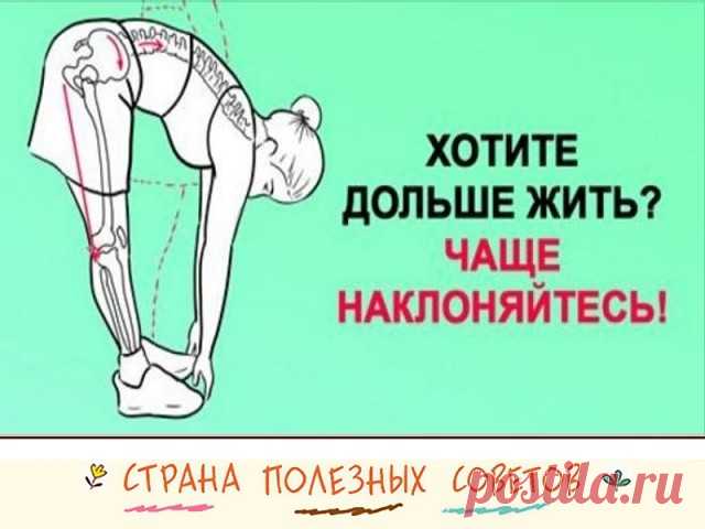 (65) Одноклассники