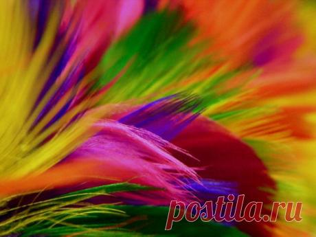 радуга: 34 тыс изображений найдено в Яндекс.Картинках