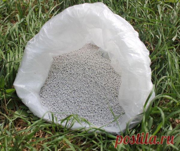 Фосфор нужен корням