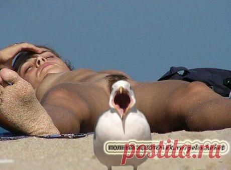 (99) Одноклассники