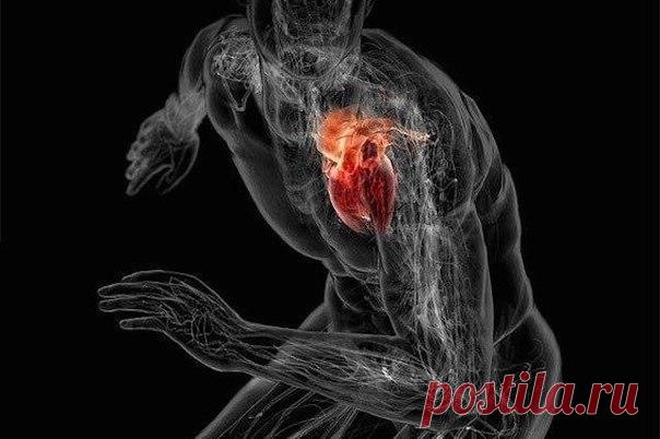 Тренировка сердца и развитие выносливости 

Самая главная мышца нашего тела, это не бицепс, и даже не грудные. Самая главная для человека мышца – это сердце. От его тренированности и размера зависит не просто ваш внешний вид. От этого на прямую зависит, где вы будите лежать после 60 лет – на пляже или под землей.
Показать полностью…