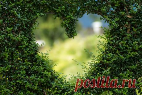 Про «любящую» семью и любовь.История.
Ваня женился, Ваня был счастлив. Ваня всему миру и нам кричал о своём счастье не в состоянии удержать его внутри. Ваня ходил с горящими глазами и боготворил ту самую, которая сделала его счастливым. Та самая родила ему замечательную дочку, которая усилила Ванино счастье. Мы поехали с Ваней и его горячо и невероятно любимой женой на […]
Читай дальше на сайте. Жми подробнее ➡