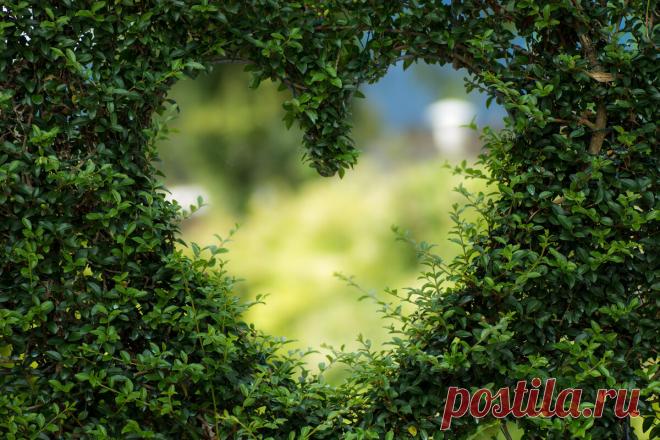 Про «любящую» семью и любовь.История.
Ваня женился, Ваня был счастлив. Ваня всему миру и нам кричал о своём счастье не в состоянии удержать его внутри. Ваня ходил с горящими глазами и боготворил ту самую, которая сделала его счастливым. Та самая родила ему замечательную дочку, которая усилила Ванино счастье. Мы поехали с Ваней и его горячо и невероятно любимой женой на […]
Читай дальше на сайте. Жми подробнее ➡