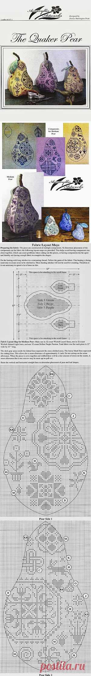 Груша квакеров 