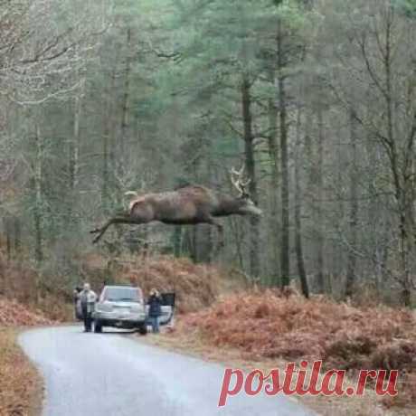 (88) УДИВИТЕЛЬНЫЙ МИР