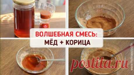 Мёд + Корица: целебная смесь от десятков болезней